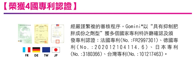 本頁圖片/檔案 - GOMINI_WEB1_PATENET 本頁圖片/檔案 - GOMINI_WEB1_PATENET